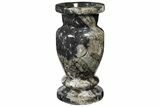 Limestone Vase With Orthoceras Fossils #119340-2